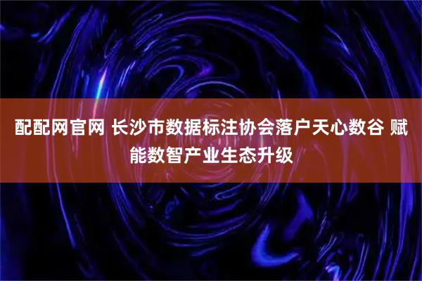 配配网官网 长沙市数据标注协会落户天心数谷 赋能数智产业生态升级