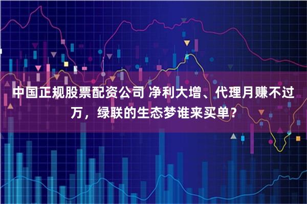 中国正规股票配资公司 净利大增、代理月赚不过万,绿联的生态梦谁来买单?